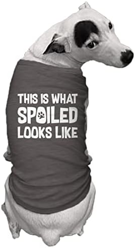 Ето как изглежда Развалена тениска за кучета Toys Presents (Тъмно сиво, със средна дължина)