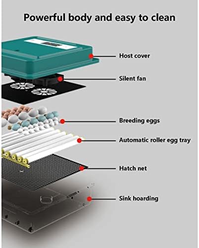 Интелигентен Инкубатор QWERTYUKJ 56 Яйца С Автоматичен Контрол на Температурата и Влажността, Малък Цифров Инкубатор за Домашни Птици с Led Цифров Екран