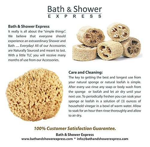Гъба от морската вълна 5-6 инча (по-голямата) от Bath & Shower Express ® Натурален възобновяем ресурс!